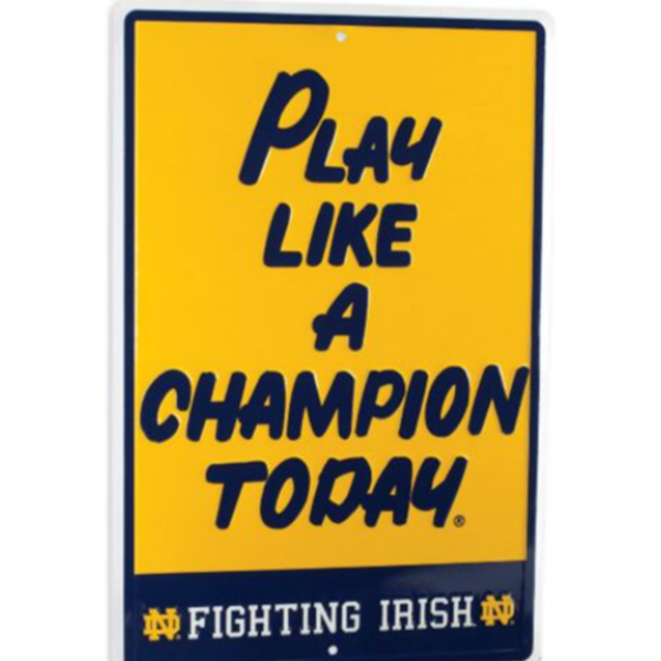Play Like A Champion Metal Parking Sign