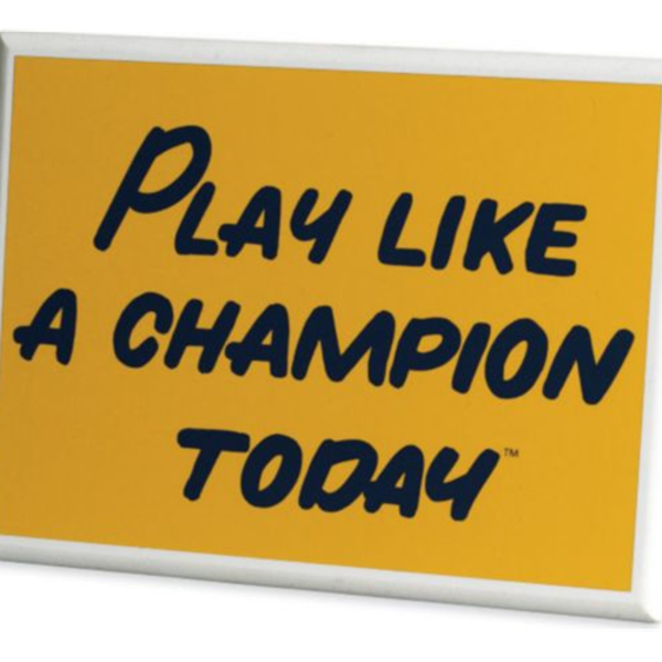 Play Like A Champion Today 20 x 24 Sign